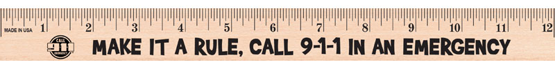 12 inch Rulers